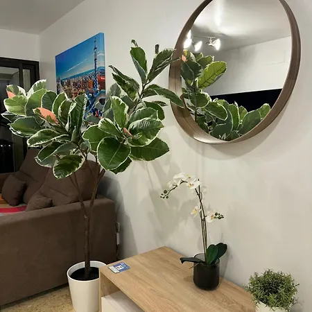 Sovhispan Sc Tenerife Piscina *